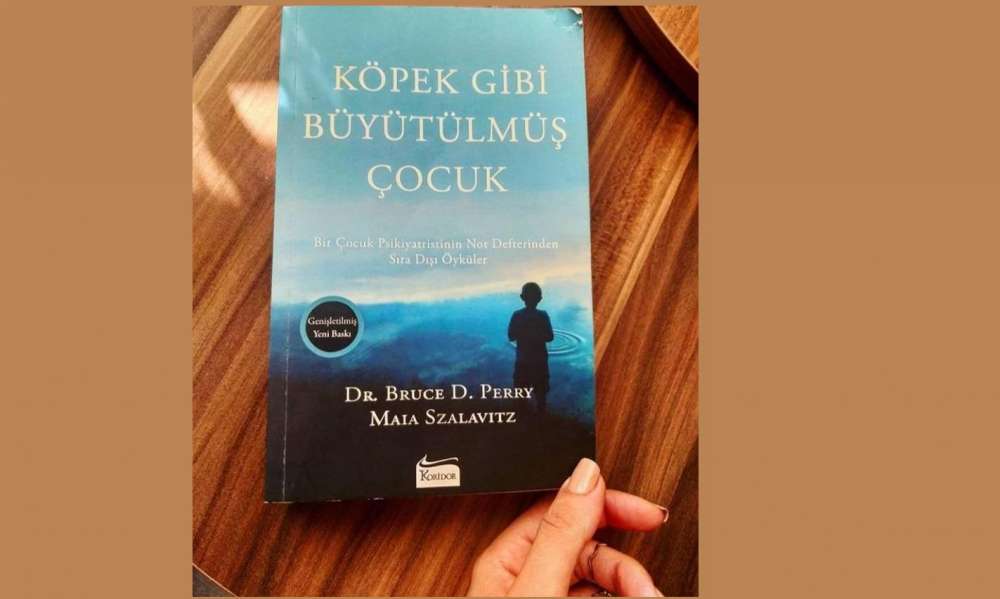 Köpek Gibi Büyütülmüş Çocuk Pdf